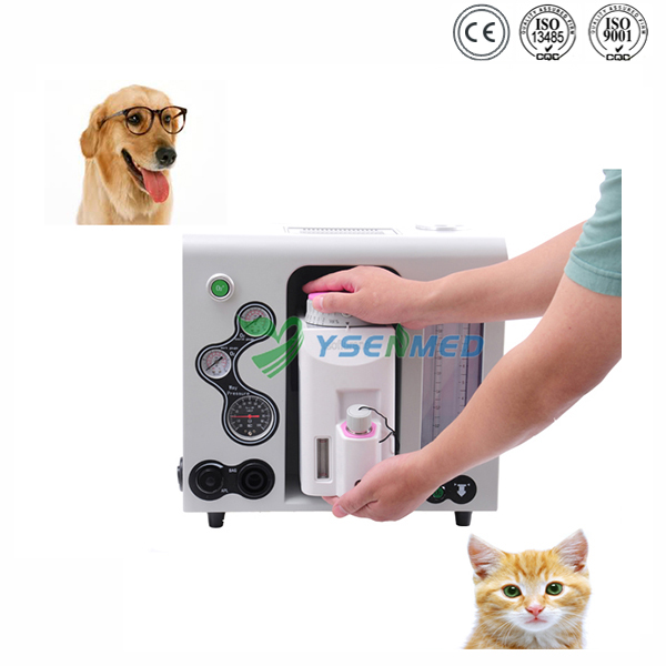 Portable veterinary anesthesia machine