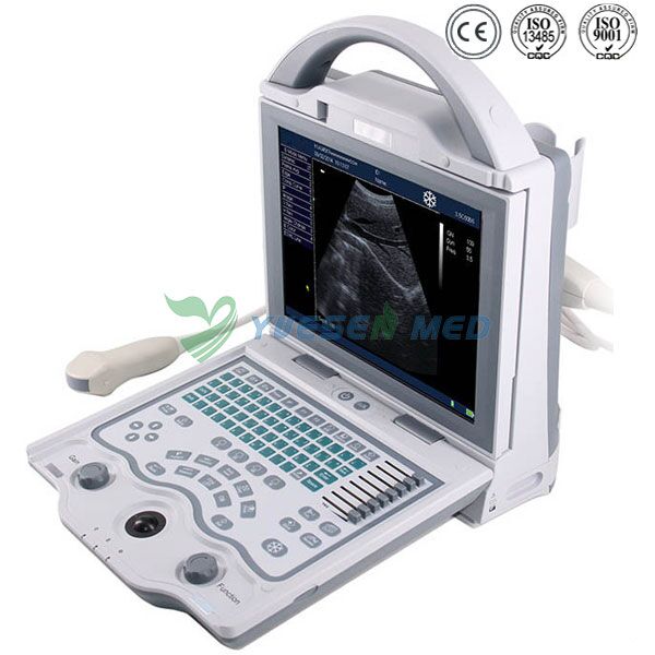 Portable ultrasound machine YSB5600V / B/W Ultrasound Machine Portable China - YSENMED