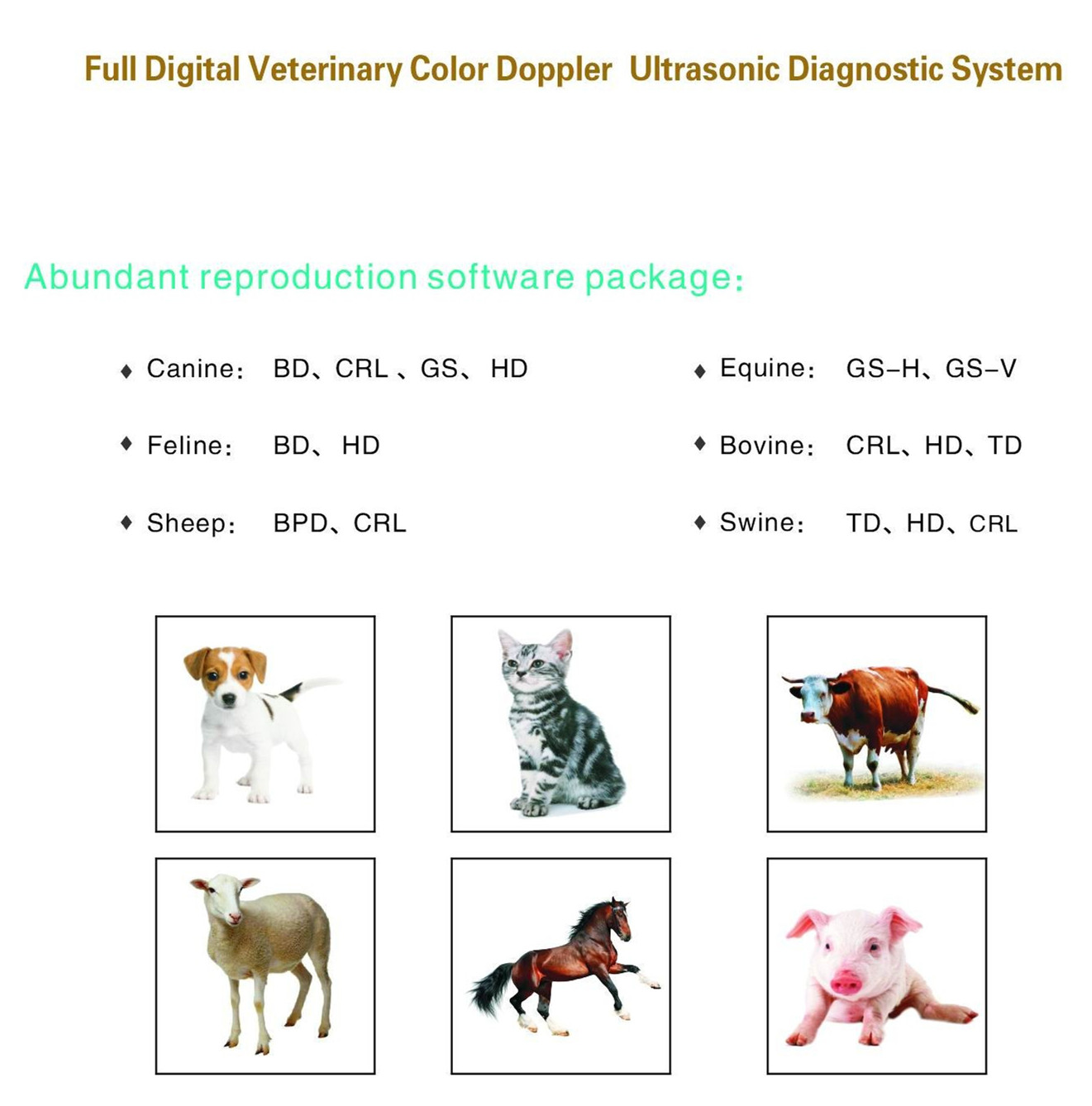 Veterinary Portable color doppler ultrasound YSB-K6000V