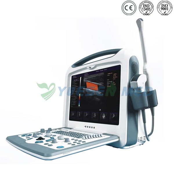 Portable 3D 4D Color Doppler Ultrasound Scanner YSB2000