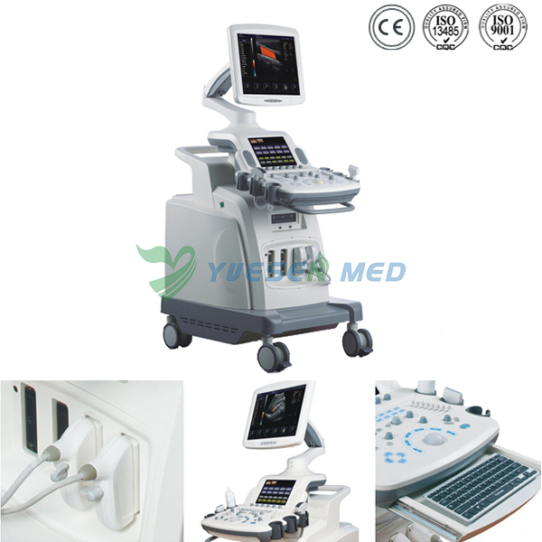 Trolley 3D 4D Color Doppler Ultrasound Scanner YSB8000P