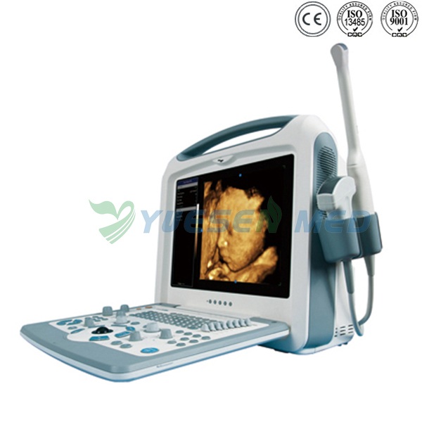 Portable 3D 4D Color Doppler Ultrasound Scanner YSB2000