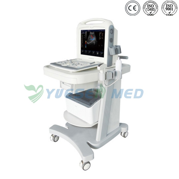 Portable 3D 4D Color Doppler Ultrasound Scanner YSB2000