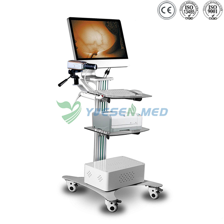 Infrared Inspection Equipment for Mammary Gland YSSW3003