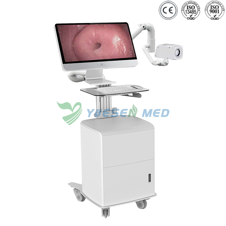 Colposcope optique numérique prix  YSSW3305