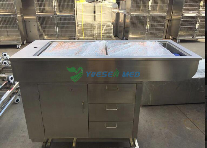 YSENMED Veterinary Equipment