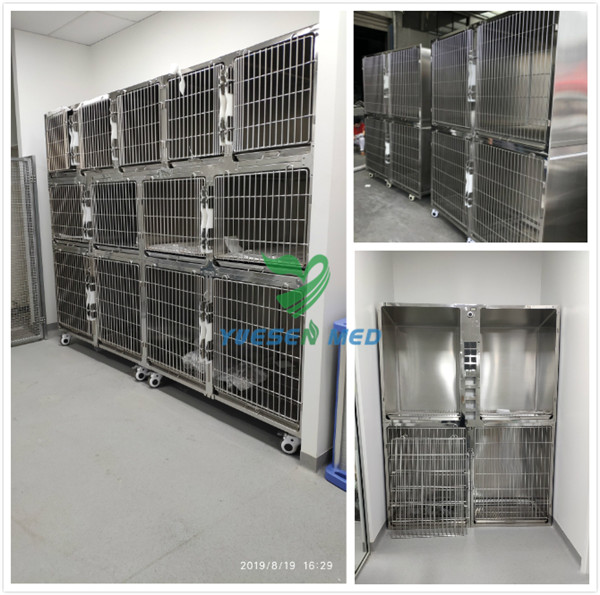 Australia Veterinary Clinic Engineer Installed Machine