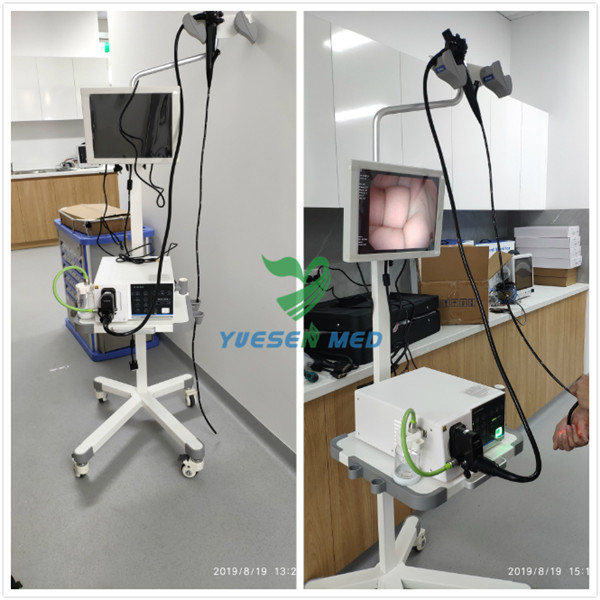 Australia Veterinary Clinic Engineer Installed Machine
