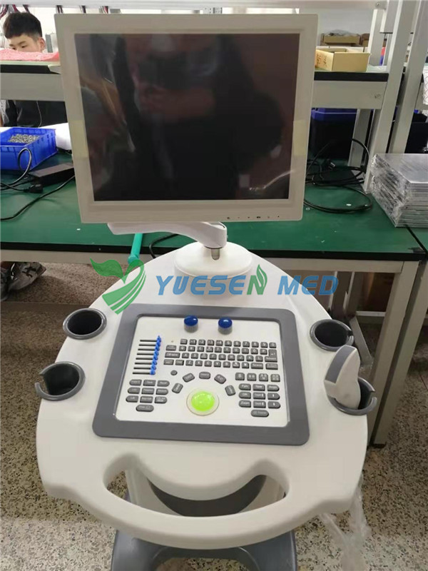 New Trolley Ultrasonic diagnostic apparatus