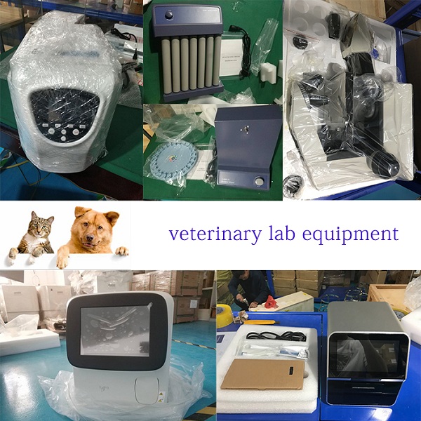 YSENMED Veterinary Equipment to Saudi Arabia Veterinary Clinic