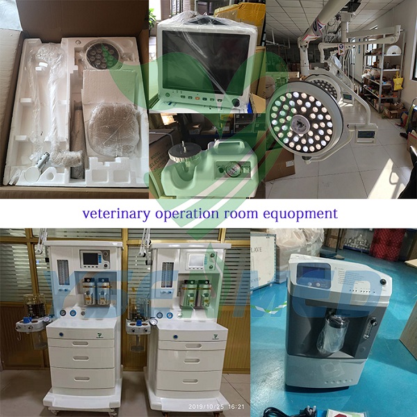 YSENMED Veterinary Equipment to Saudi Arabia Veterinary Clinic