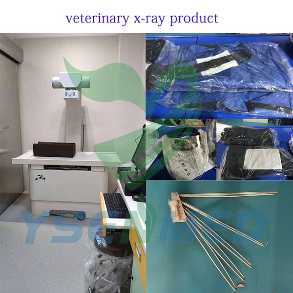 YSENMED Veterinary Equipment to Saudi Arabia Veterinary Clinic