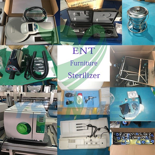 YSENMED Veterinary Equipment to Saudi Arabia Veterinary Clinic