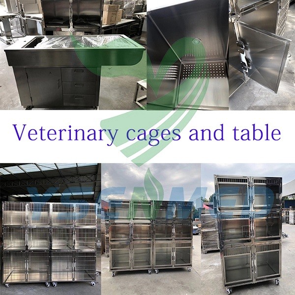 YSENMED Veterinary Equipment to Saudi Arabia Veterinary Clinic