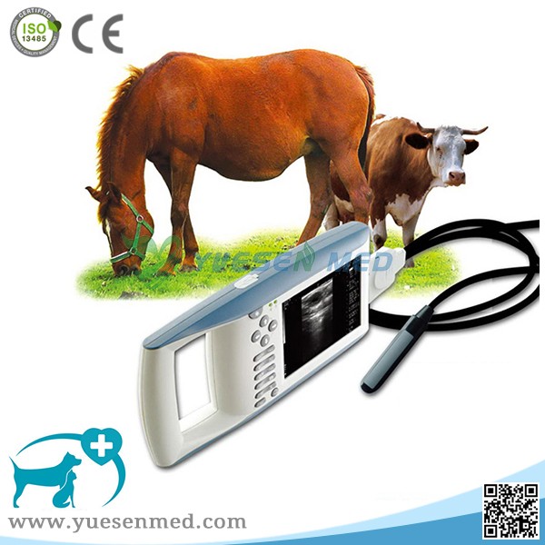 YSB5100V Hand-held Veterinary ultrasound scanner