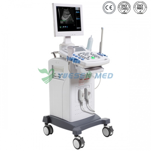 Trolley Mobile Ultrasound Machine YSB9618C