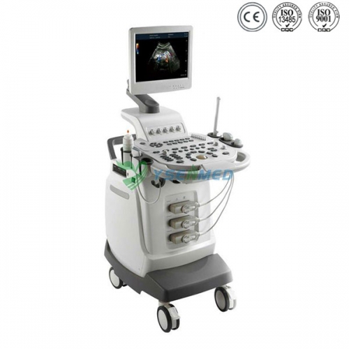 3D 4D Color Doppler Echocardiography YSB-Q5