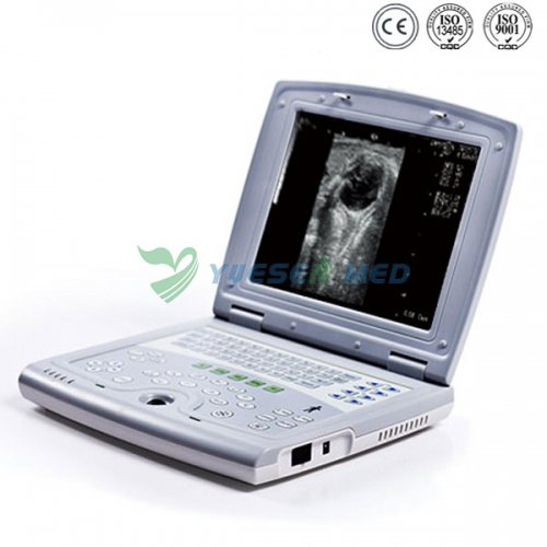Máquina de ultrassom portátil YSB5000