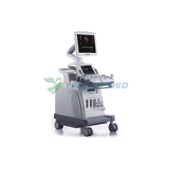 Trolley 3D 4D Color Doppler Ultrasound Scanner YSB-C360