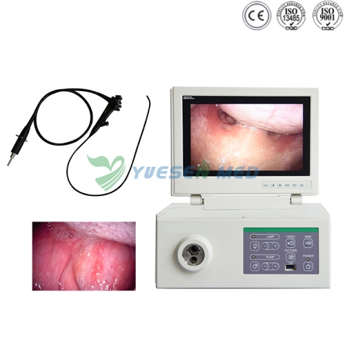 Système vidéo endoscope vidéo combiné YSNJ-100VET-P