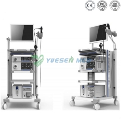 Sistema de vídeo endoscópio YSVG1T30