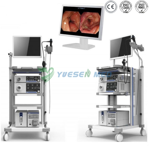 Système d'endoscope vidéo YSVG1T30