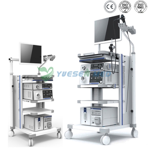 Sistema de endoscopio de vídeo YSVG9800S