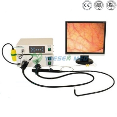 Coloscope vidéo gastroscope vidéo YSVG1660 YSVC1660