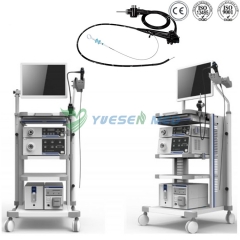 Sistema de endoscopio de vídeo YSVG1T30