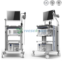 Gastroscopio de vídeo y sistema de colonoscopio YSVG9800 YSVC1650