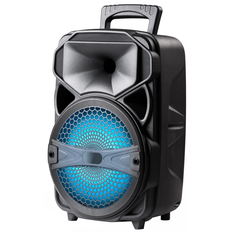 8 Inch Portable PA Speaker