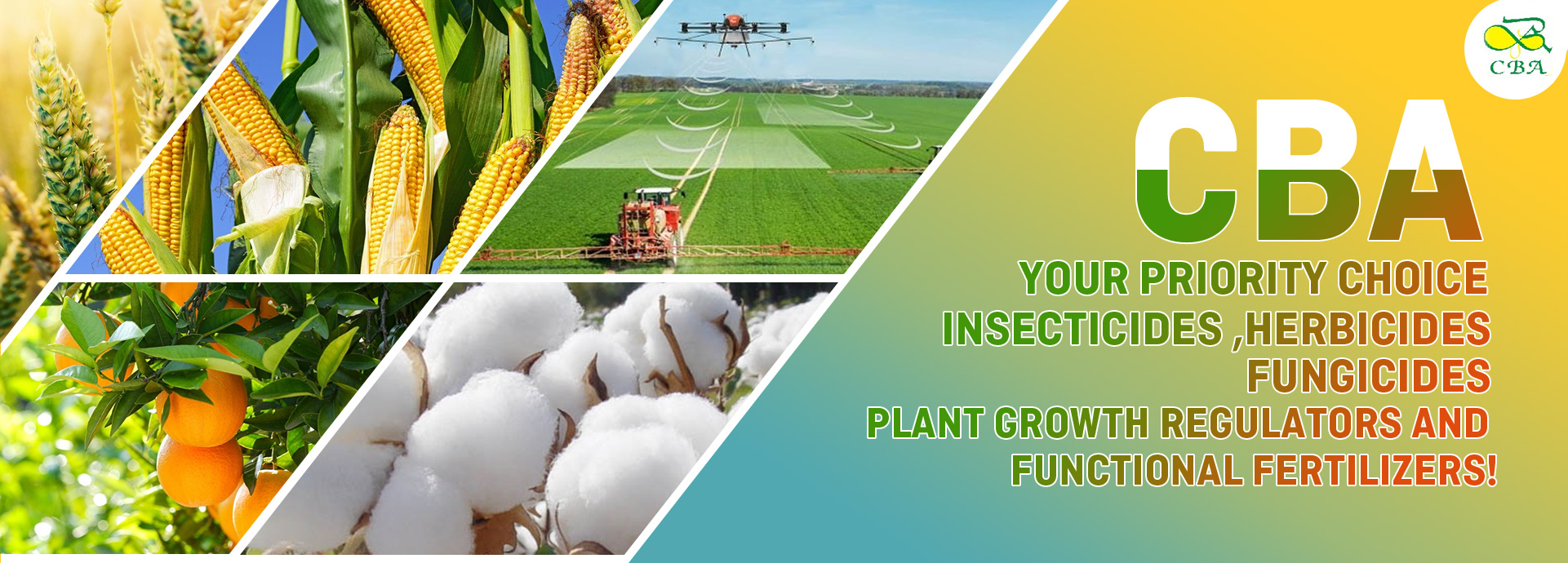 CBA is one of the top 30 agrochemicals suppliers all over China，our mainly products covers the Insecticides, Herbicides, Fungicides, Plant growth regulators, Rodenticides and Organic fertilizers.