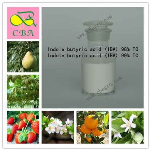 3-Indolebutyric acid Rooting Hormone Powder Indole 3 Butyric Acid IBA For Rooting Cuttings Transplanting And Grafting