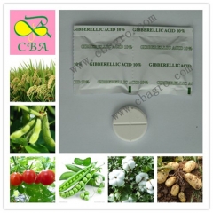 Plant Growth Regulator Gibberellin Gibberellic Acid Ga3 90%Tc Powder with Good Price