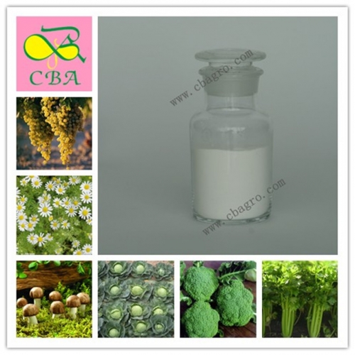 Citoquinina 6BA 6-bencilaminopurina regulador del crecimiento de las plantas hormona 6-BA 98% TC