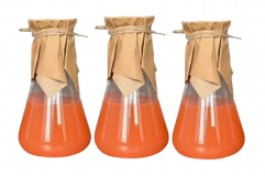 Engrais bactériens biologiques Gold-Bio