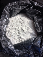 PIGMENT