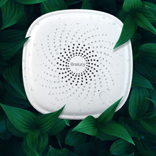 Bralucy Household disinfection air purifier