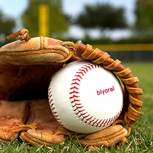biyoral Baseball and Softball School Student Training Dedicated Soft Baseball 4 pce