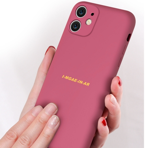 I-MGAE-IN-AR Mobile phone case liquid silicone iphone11ProMax all-inclusive