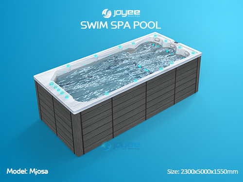 swim spa