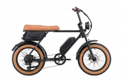EU Warehouse 2023 new design electric motor bicycle 20" fat tire bicycle electric 750W motor 7 speed gear electric fat tire bike bicycle
