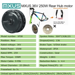 XF08 Rear Freewheel​ 36V 250W