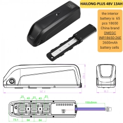 HAILONG-PLUS 48V 13AH