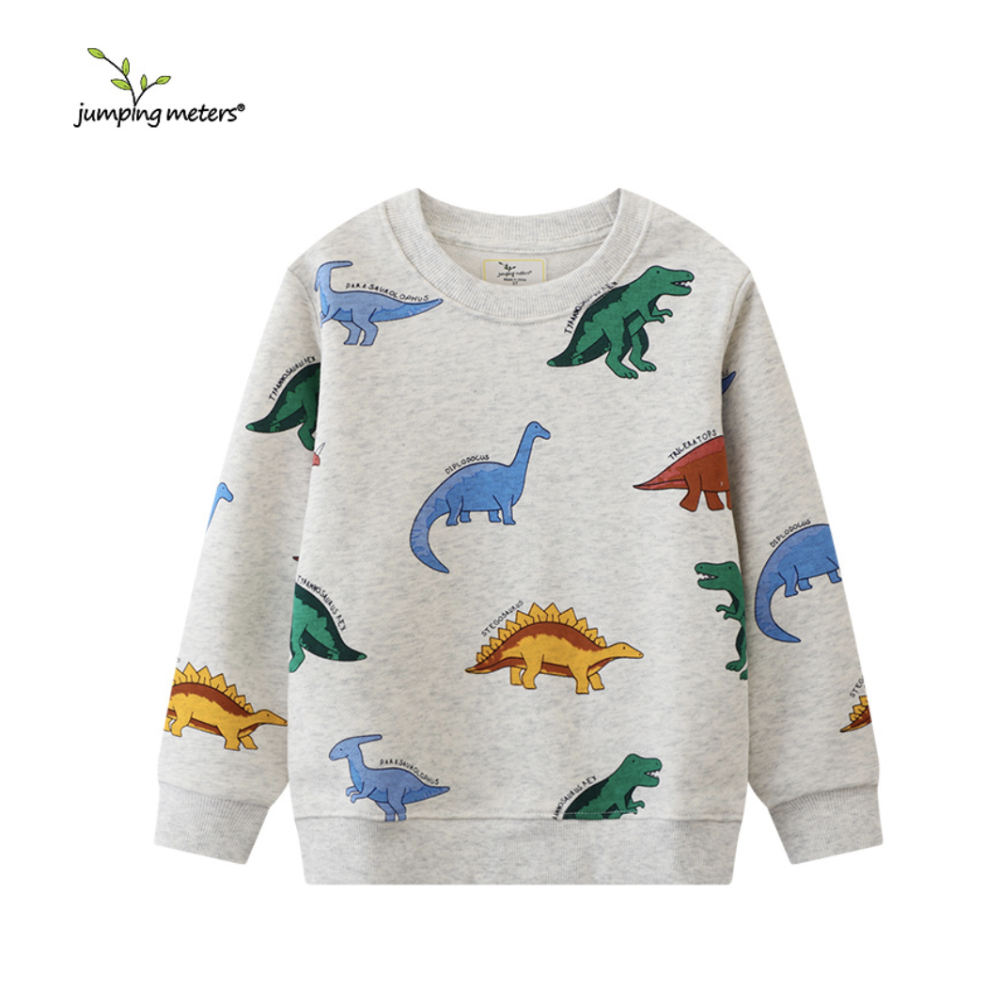 Long-sleeved children's sweatshirt, dinosaur pattern cartoon hooded pullover, cute boys' sweatshirt distribution and dropshipping