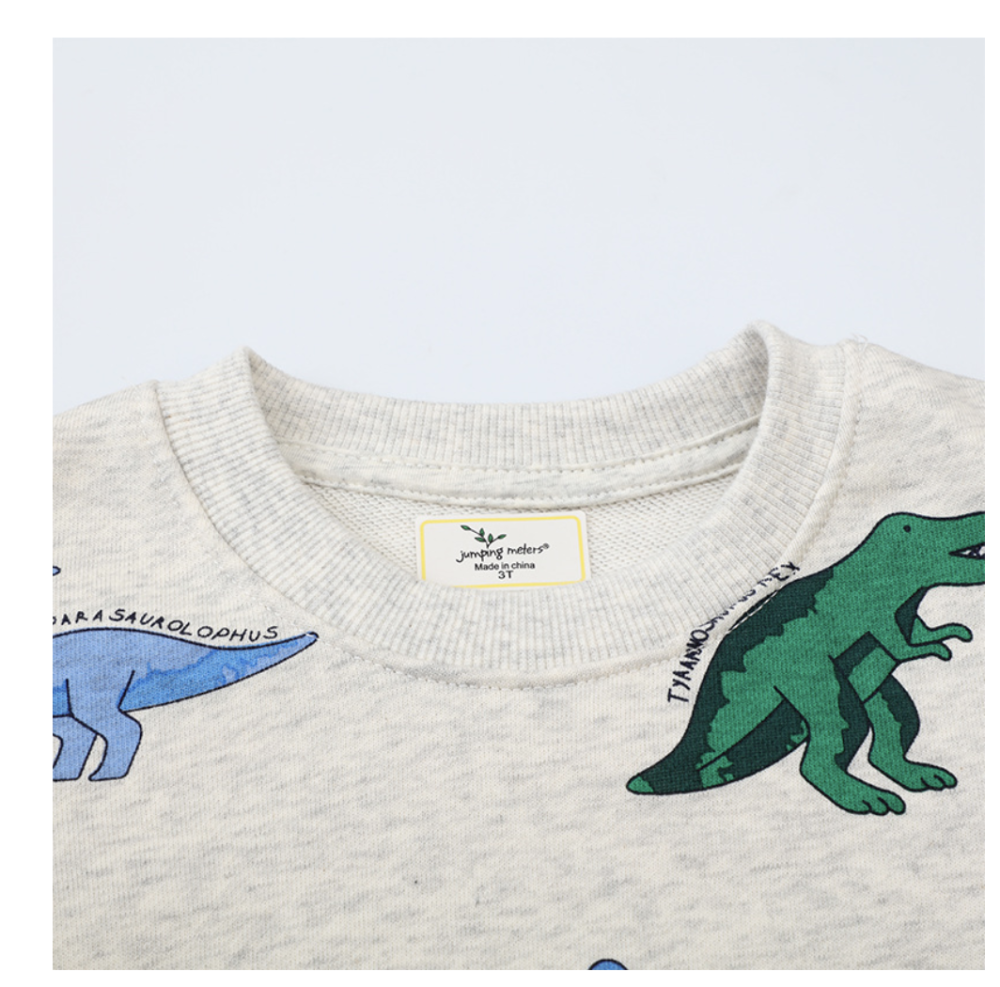 Long-sleeved children's sweatshirt, dinosaur pattern cartoon hooded pullover, cute boys' sweatshirt distribution and dropshipping