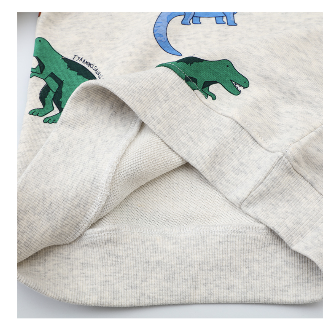 Long-sleeved children's sweatshirt, dinosaur pattern cartoon hooded pullover, cute boys' sweatshirt distribution and dropshipping