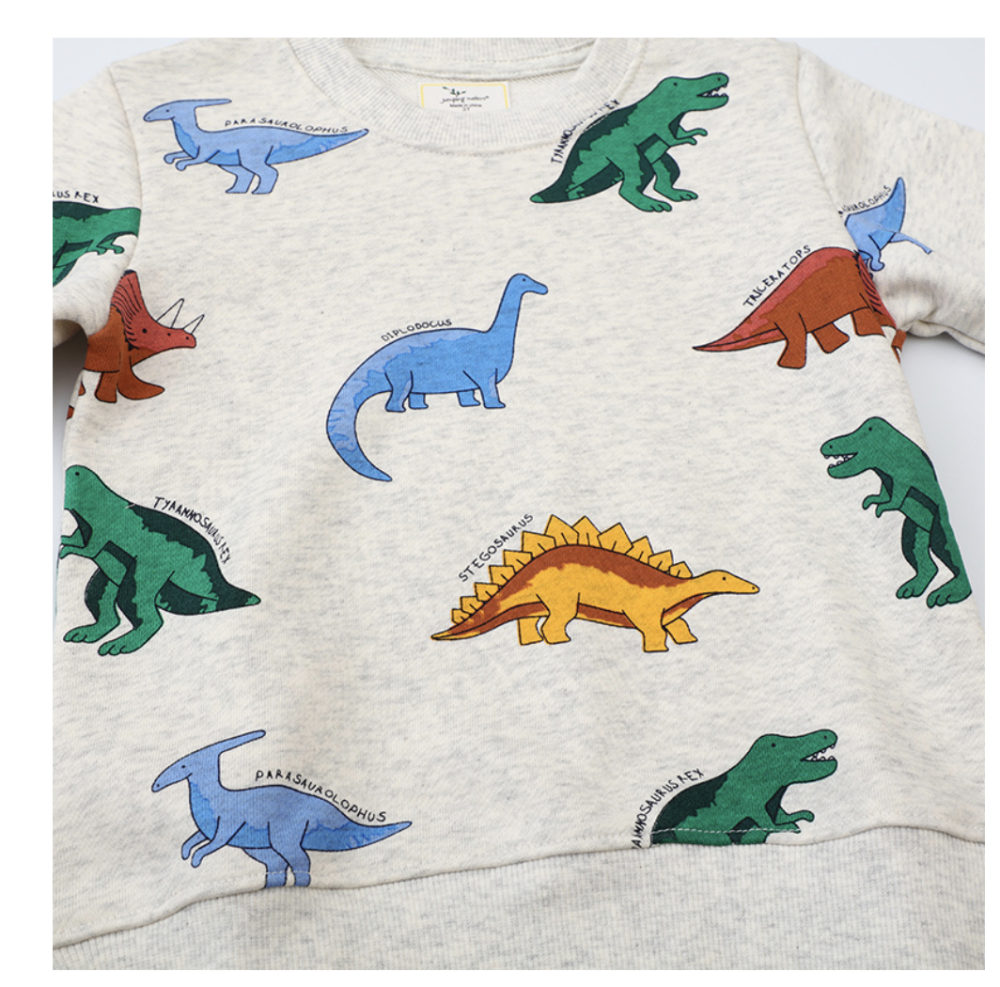 Long-sleeved children's sweatshirt, dinosaur pattern cartoon hooded pullover, cute boys' sweatshirt distribution and dropshipping