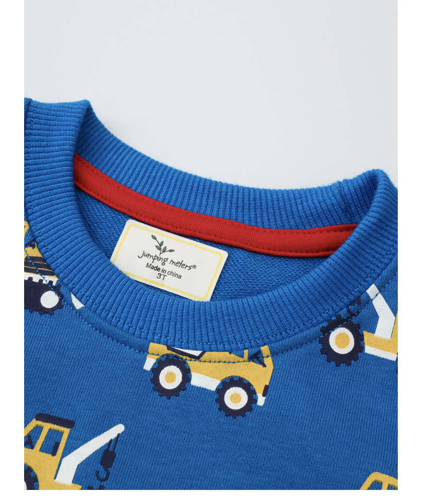 Children's clothing 2023 autumn/winter new fashionable printed top children's pullover hoodies cross-border wholesale in Europe and America