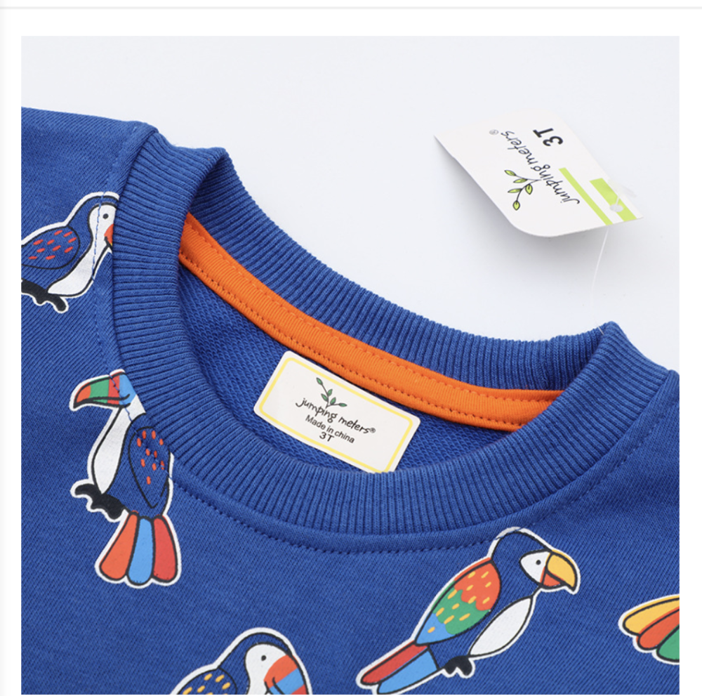 Cross-border children's clothing 2023 new style small and medium-sized boys spring and autumn coats trendy children's spring and autumn children's sweatshirts ​